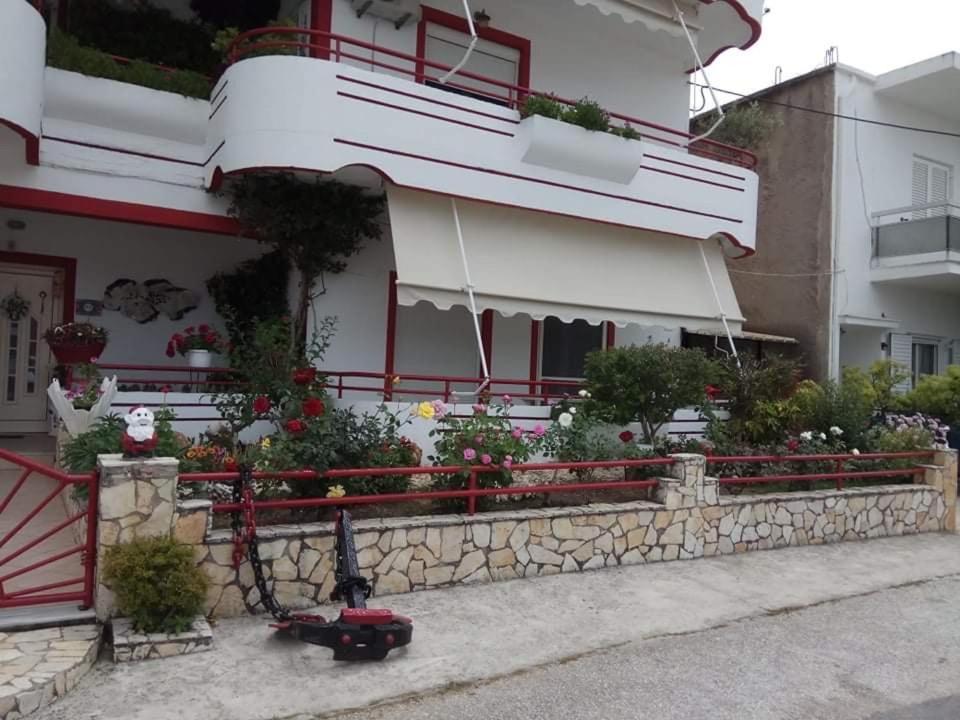Elenas Apartment